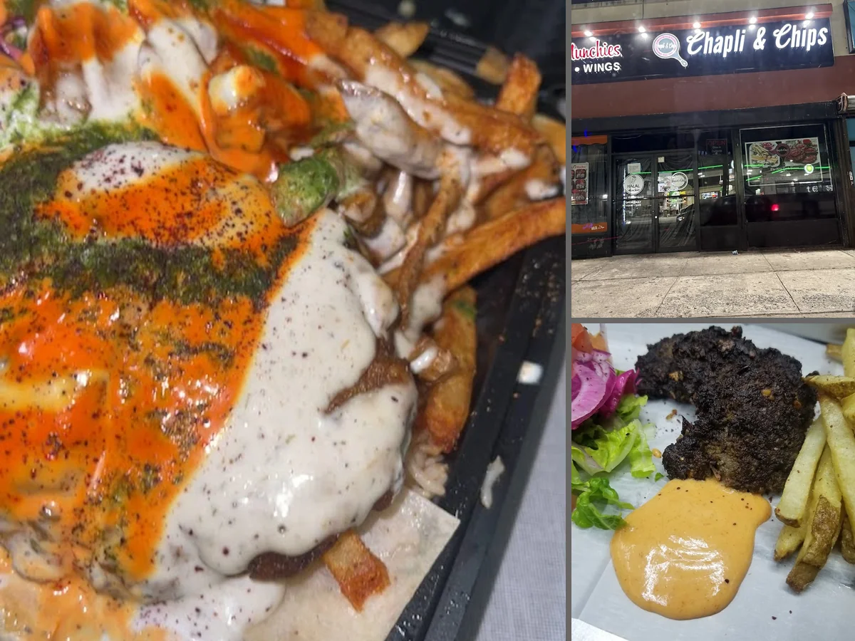 Chapli kabab platter with fries and sauces